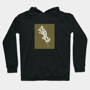 Fucus ceranoides Hoodie